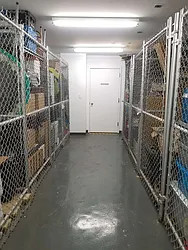 Rented by New York Residence