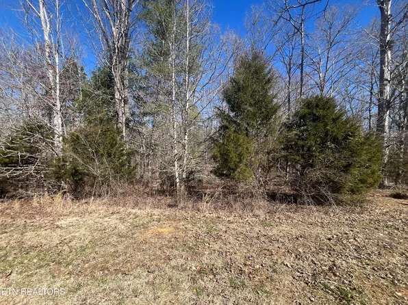 209 Appaloosa Trl, Rockwood, TN 37854
