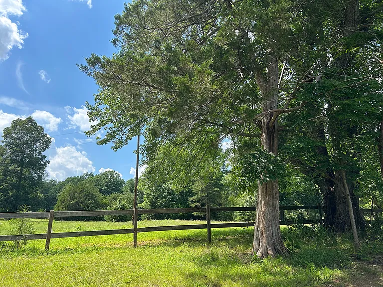 Winterhawk Cir — Photo 9