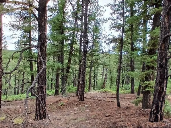 Buena Vis, Boncarbo, CO 81024