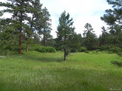 8448 Crow Place, Larkspur, CO, 80118