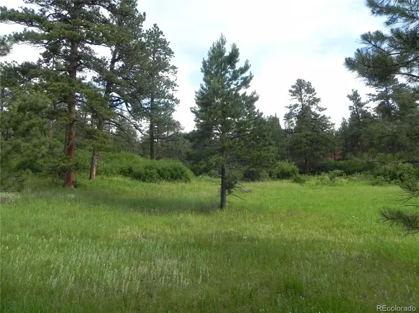 8448 Crow Place, Larkspur, CO 80118