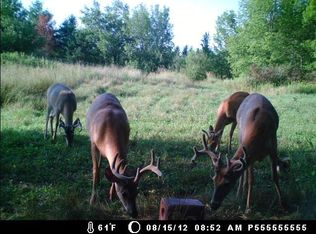 Heath Rd, Rose City, MI 48654