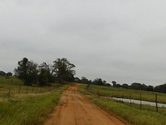 5th image of 2332 Private Road 1105