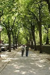 Rented by BLS Realty