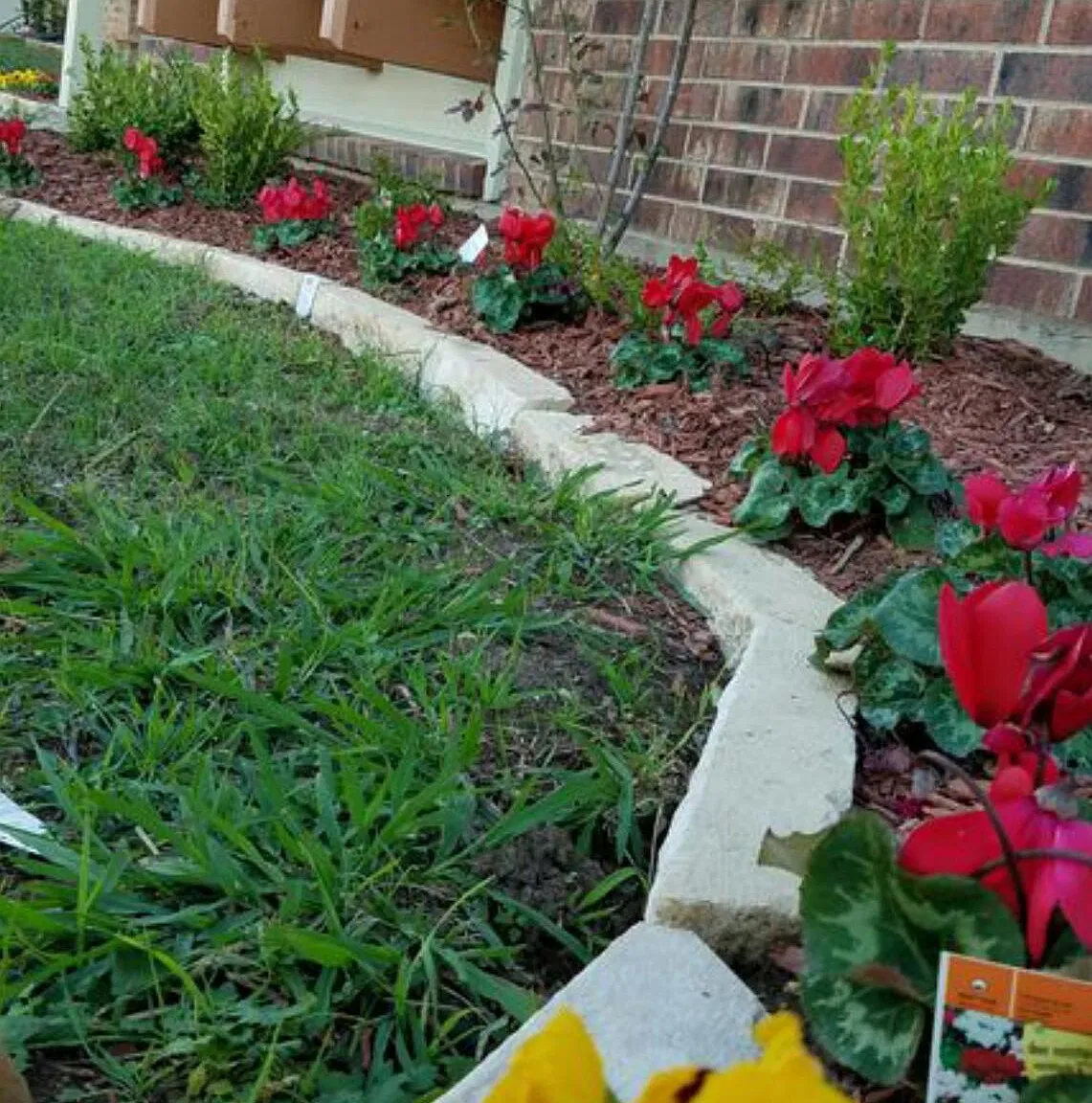 1717 Dynasty Drive — Photo 3