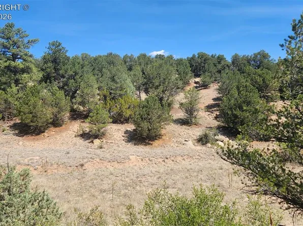 161 Ponderosa Ln, Cotopaxi, CO 81223