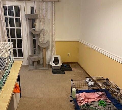 4th image of 4405 Bonita Dr
