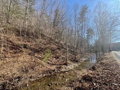 0 Ogle Creek Rd, Covington, VA, 24426
