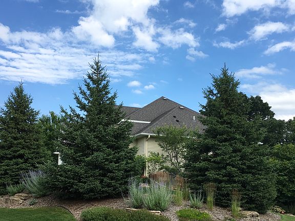 Front Landscaping