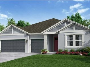 2443 High Tides Way, Wesley Chapel, FL 33543