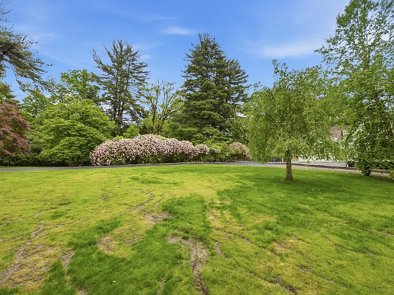 1 Tulip Tree Ln — Photo 14