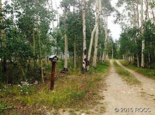 173 Ptarmigan Rd, Leadville, CO 80461