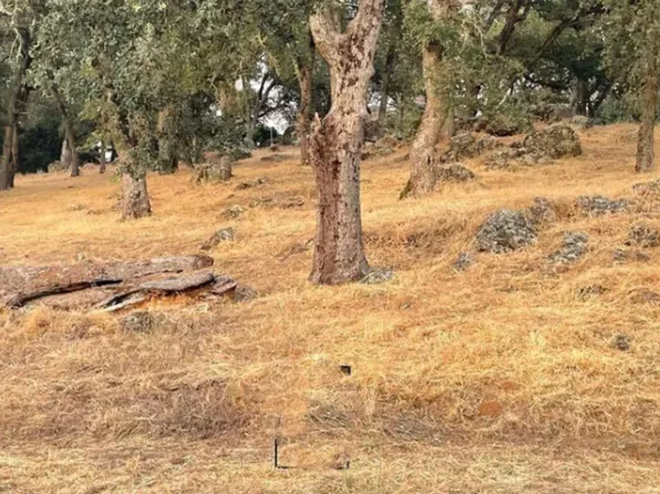 15249 De La Pena Cir, Rancho Murieta, CA 95683