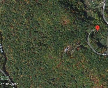 202 Persimmon Ln, Pioneer, TN, 37847