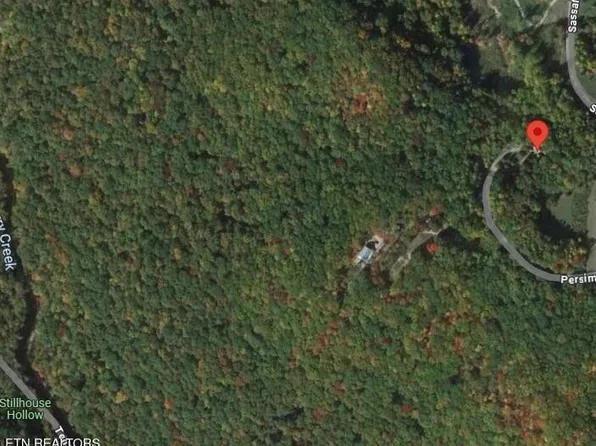 202 Persimmon Ln, Pioneer, TN 37847