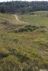 15100 Suckertown Rd, Fiddletown, CA, 95629
