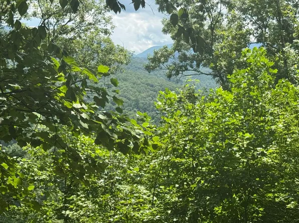 2 & 7 Ivy Ln, Hiawassee, GA 30546