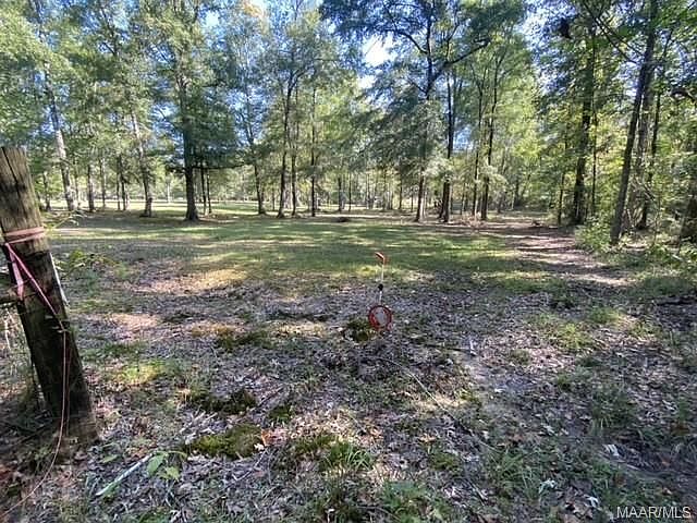 1st image of 150 Briar Ln
