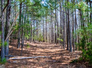 3940 Clinton Ct, Villa Rica, GA 30180