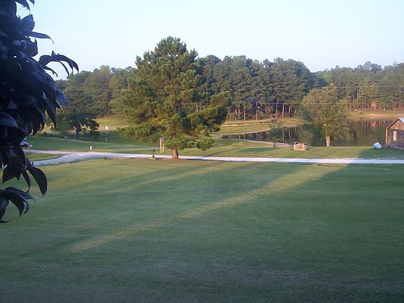 large landscaped yard
