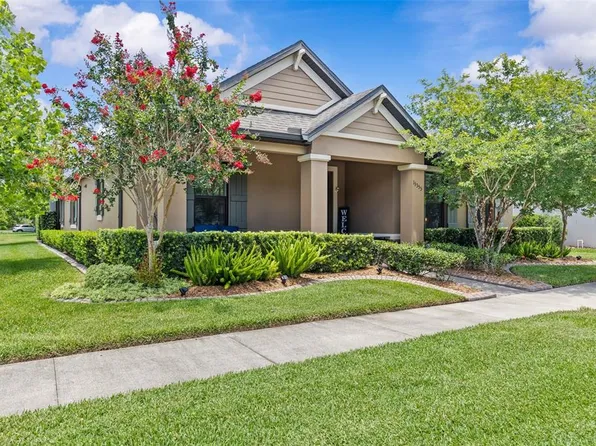 13353 Batten Ln, Odessa, FL 33556