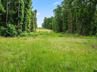 3147 Cr, Tyler, TX 75706