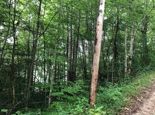 0 Springwood Lake Rd, Robbinsville, NC 28771