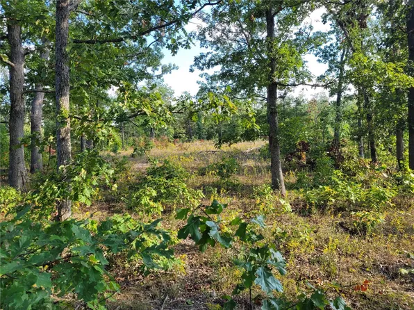0 Lodge Rd, Bourbon, MO 65441