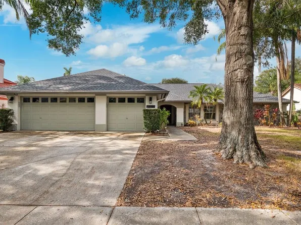 15106 Meadowlake St, Odessa, FL 33556