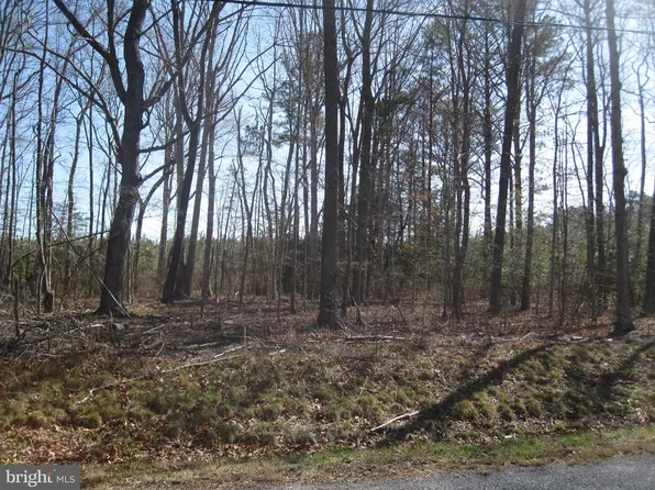 PARCEL Short Rd #D, Harbeson, DE 19951
