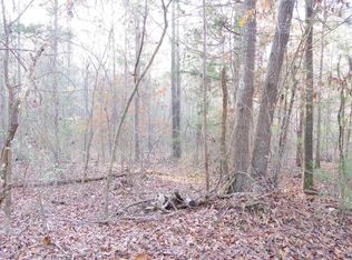 133 Archway Ct, Little Mountain, SC 29075