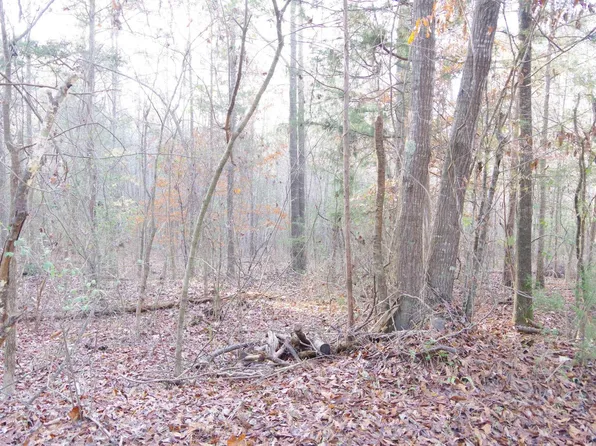 133 Archway Ct, Little Mountain, SC 29075