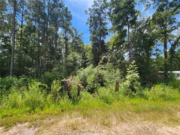 LOT 4 Coral Bean Ln, Plantersville, TX 77363
