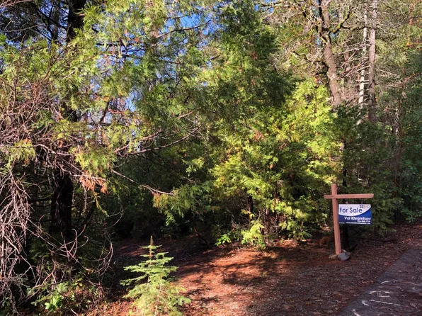0 Whispering Pines Way, Challenge, CA 95925