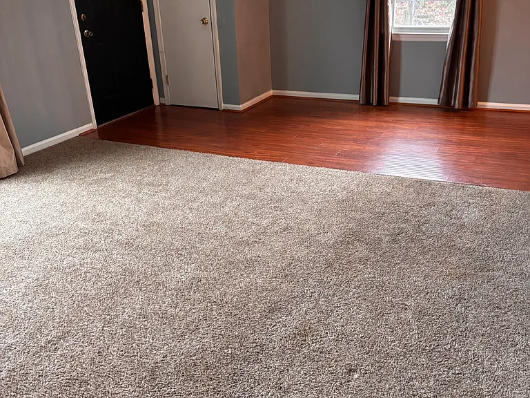 1 Nathan Hale Ct — Photo 6