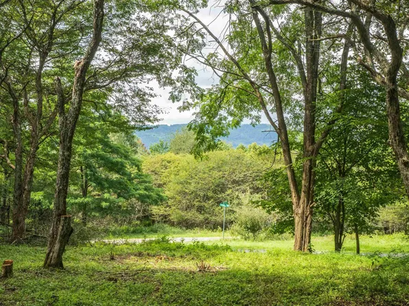 7 Roaring Plains Dr, Dryfork, WV 26263
