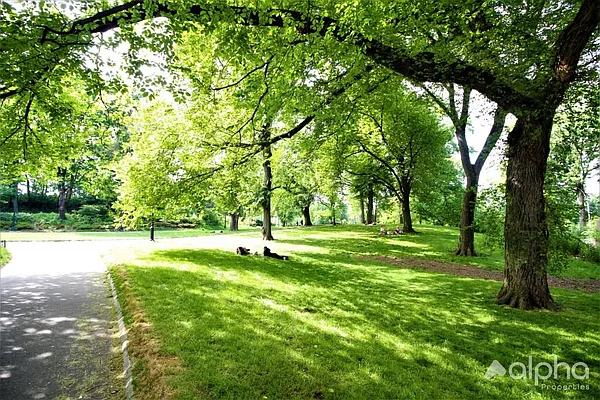 Rented by Alpha Properties NYC I LLC | media 6