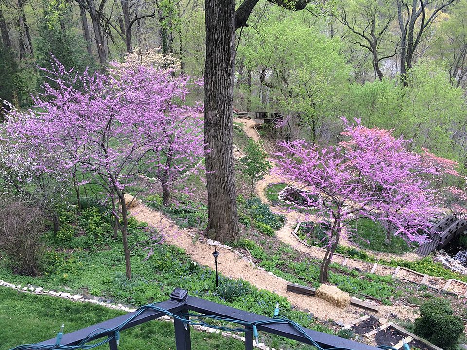 View from Rear Porch
