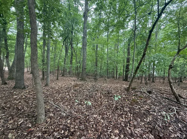 18 Saunders Point Rd Lot 18, Huddleston, VA 24104