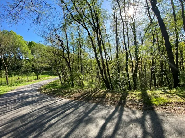 411 Elbow Run Rd, Ford City, PA 16226