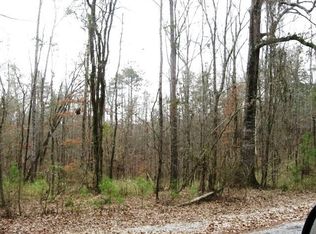 195 Camp Kiwanis Rd, Eclectic, AL 36024