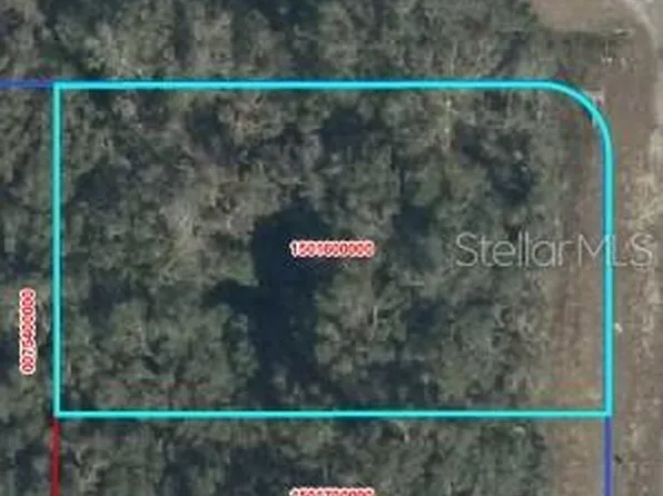 NW 100th Ave Lot 1, Chiefland, FL 32626