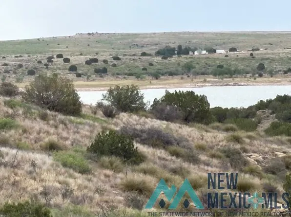 66 Pheasant Ln, Fort Sumner, NM 88119