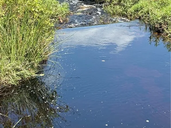 1000 Cattle Ranch Rd, Venus, FL 33960