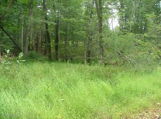 40 Spring Dr, Swiftwater, PA 18370