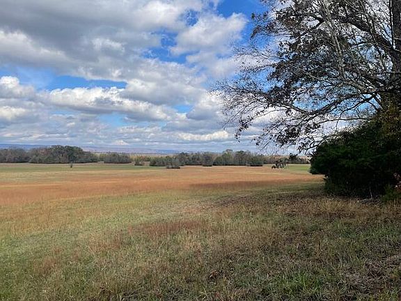 32nd image of 0 New Bethel Rd