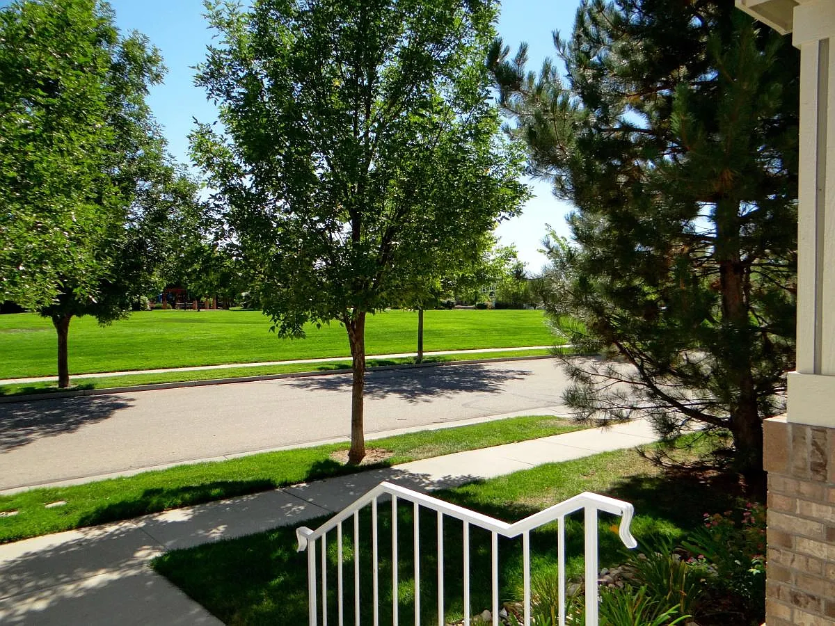 View out of Front Door - 5221 Mill Stone Way