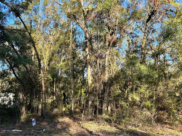 Tbd Ne Park Ave, Mayo, FL 32066