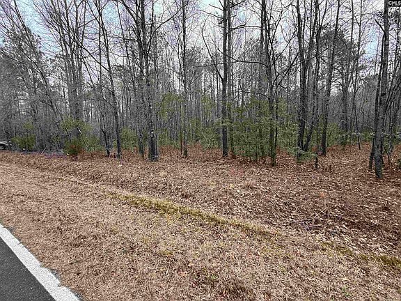 2nd image of 1644 Pincushion Rd